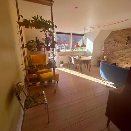 Bright, Colorful With A Balcony In The Heart Of Apartment Odense