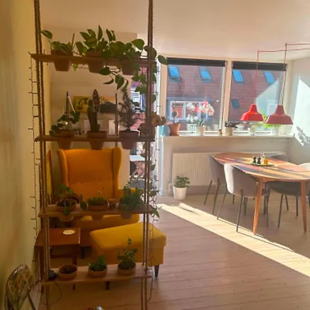 Bright, Colorful With A Balcony In The Heart Of Apartment *